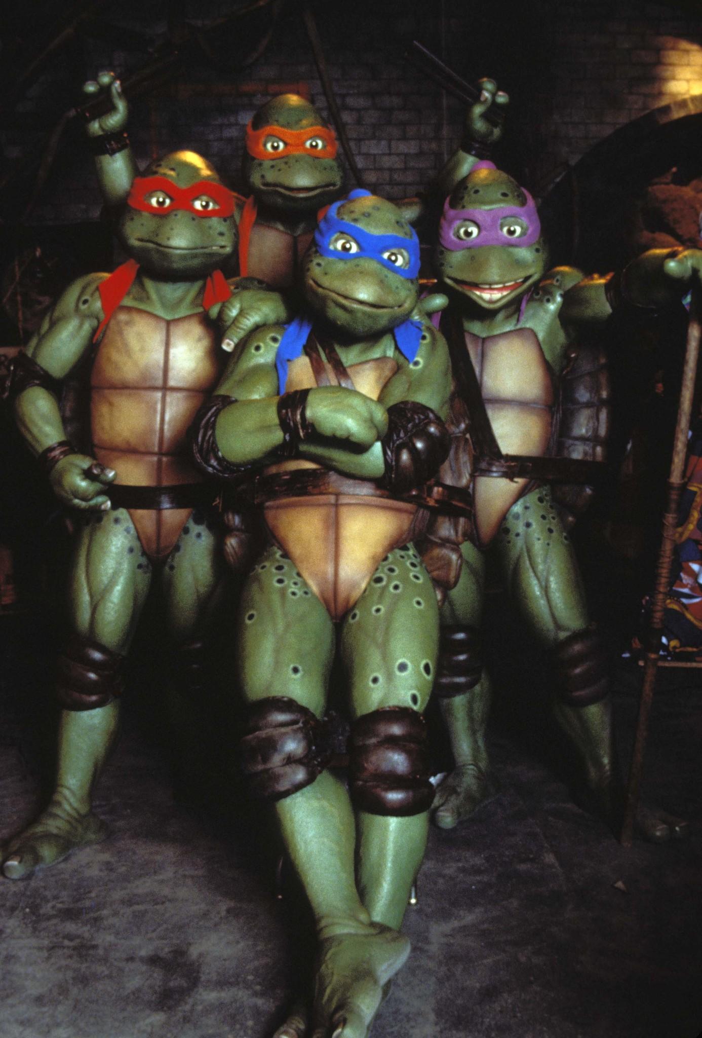 teenage-mutant-ninja-turtles-iii-large-picture